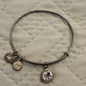 Alex and Ani clear Crystal Charm Bracelet